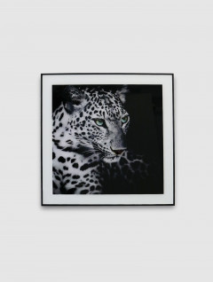 Cuadro - Placa Leopardo